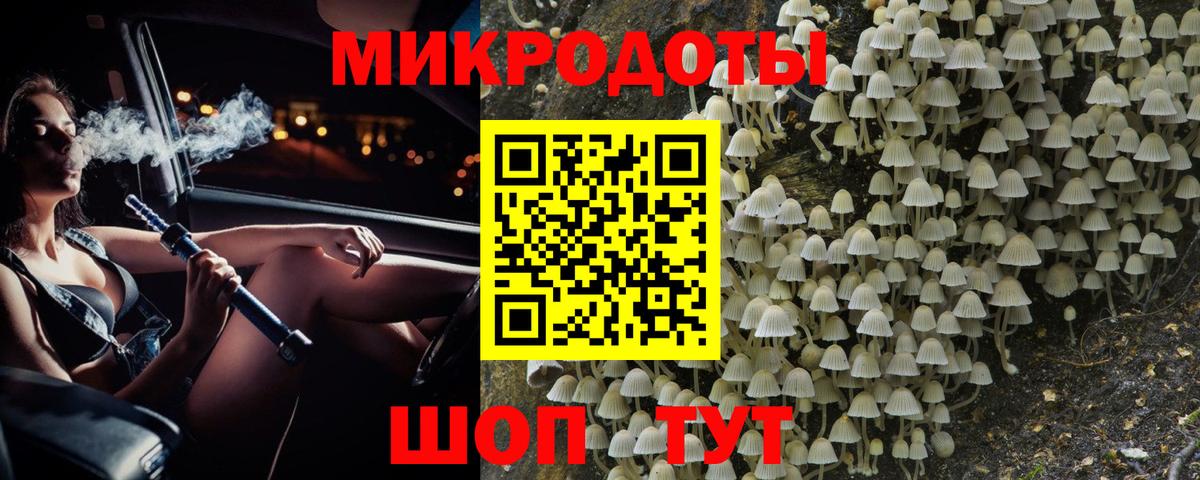 Зима  Псилоцибиновые грибы мицелий  Псилоцибиновые грибы Psilocybine cubensis  Вход с VPN 