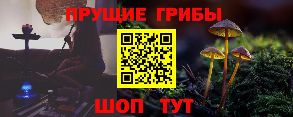 Галлюциногенные грибы MAGIC MUSHROOMS Зима